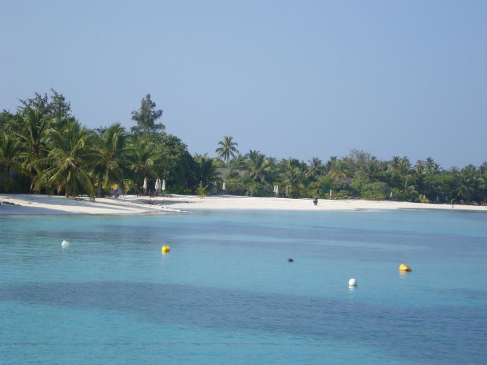 Blick auf die Insel LUX South Ari Atoll