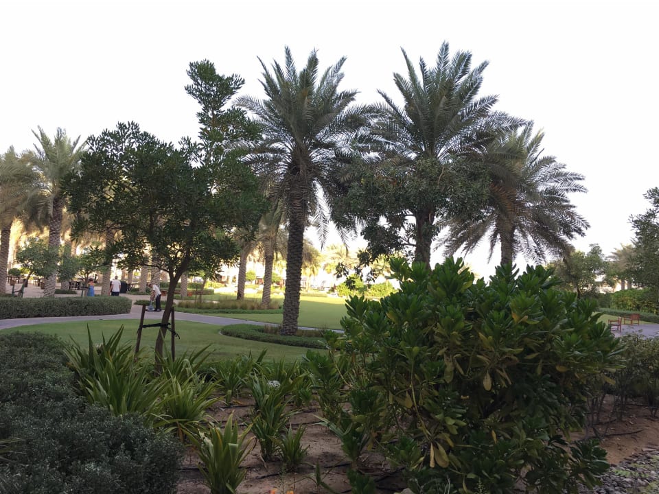 Garten Park Hyatt Abu Dhabi Hotel and Villas