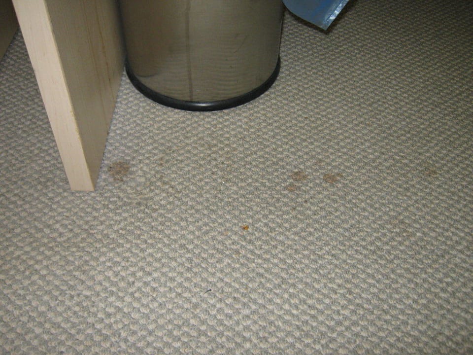 Fussboden Park Hotel Golden Beach