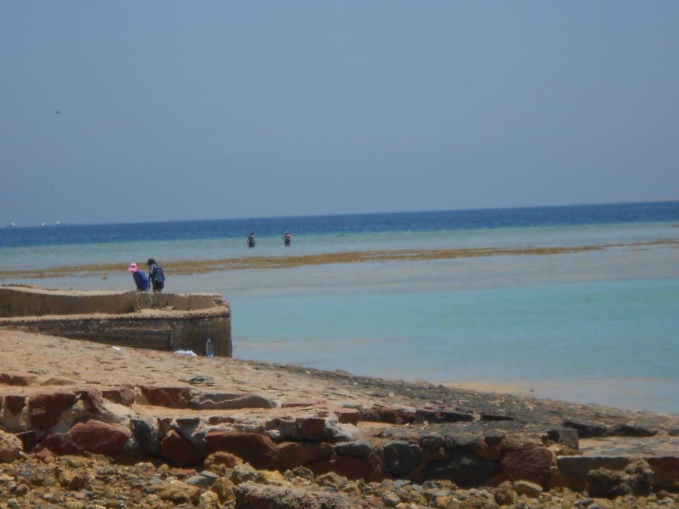 Strand bei Ebbe Arabia Azur Resort