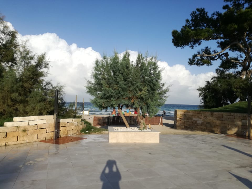 Ausblick Iberostar Waves Playa de Muro