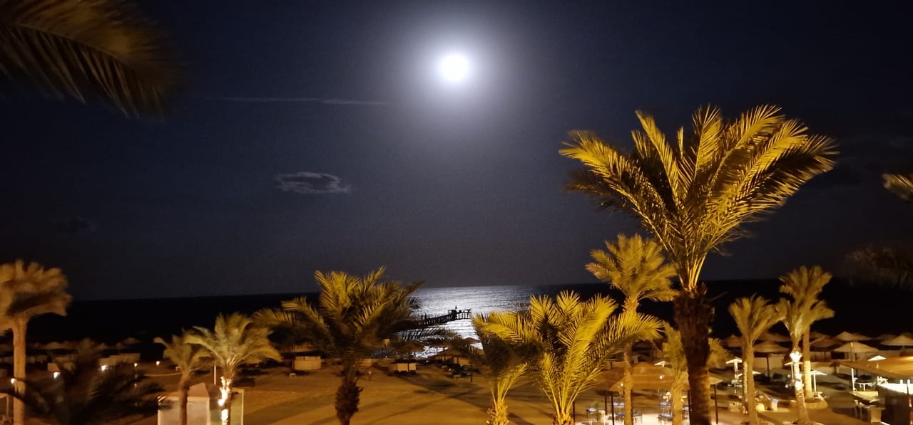 Ausblick Pickalbatros Sands Hotel - Port Ghalib