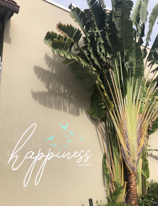 Sonstiges Catalonia Royal La Romana - Adults only