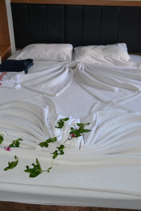 Kleine Überraschung Hane Family Resort