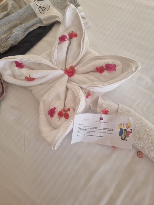 Zimmer Tropitel Sahl Hasheesh