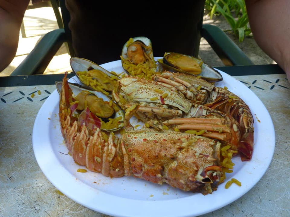 Lecker Iberostar Waves Costa Dorada