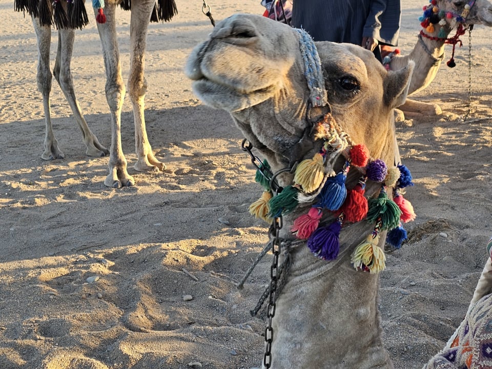 Strand Bliss Nada Beach Resort