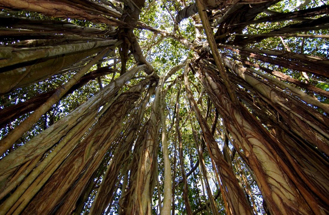 Sonstiges Fregate Island Private