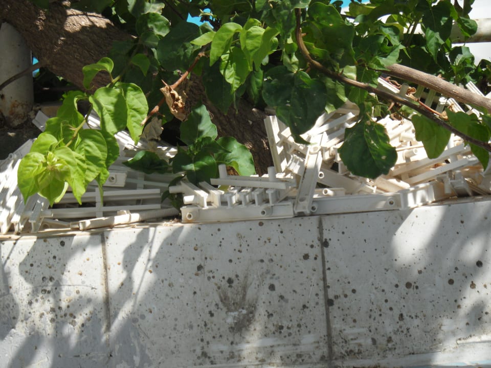 Pool am Hauptgebäude Club Hotel Anjeliq