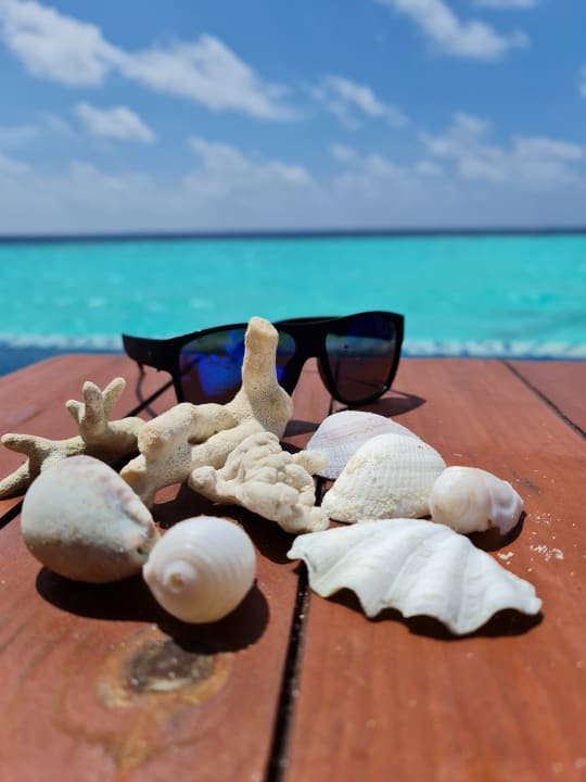 Sonstiges Mercure Maldives Kooddoo Resort