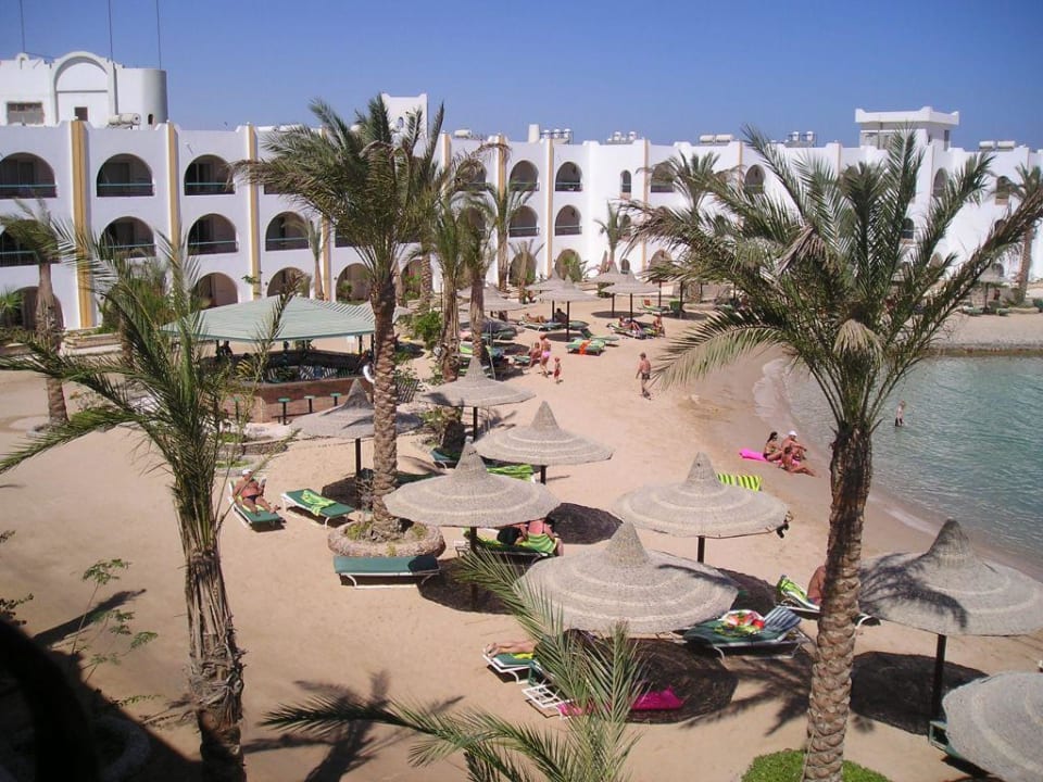 Arabia azur resort 4. Египет Арабия Азур. Мерлин Азур Хургада. Arabia Azur Resort 4 Palm Hurghada.
