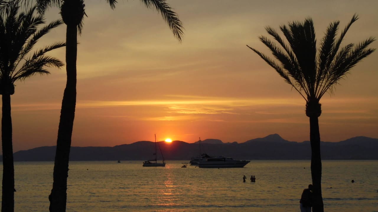 Wehmut Hotel Cosmopolitan