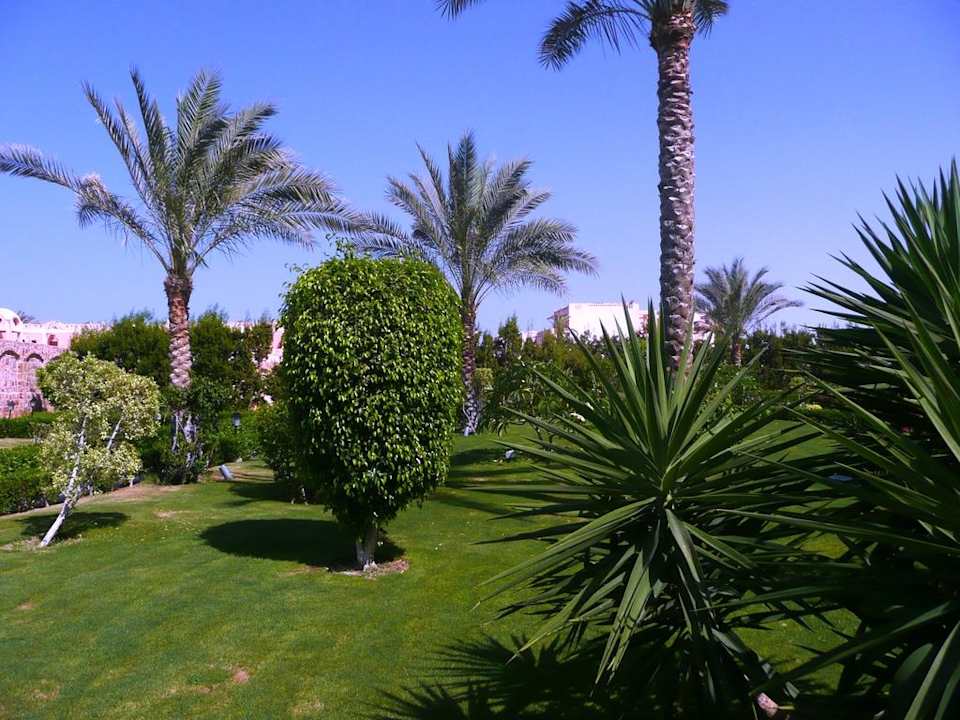 Garten Jaz Dar EL Madina