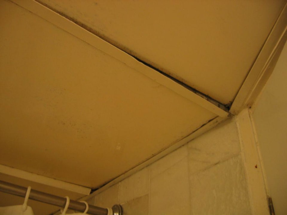 Decke vom Badezimmer (2) Warwick Fiji Hotel