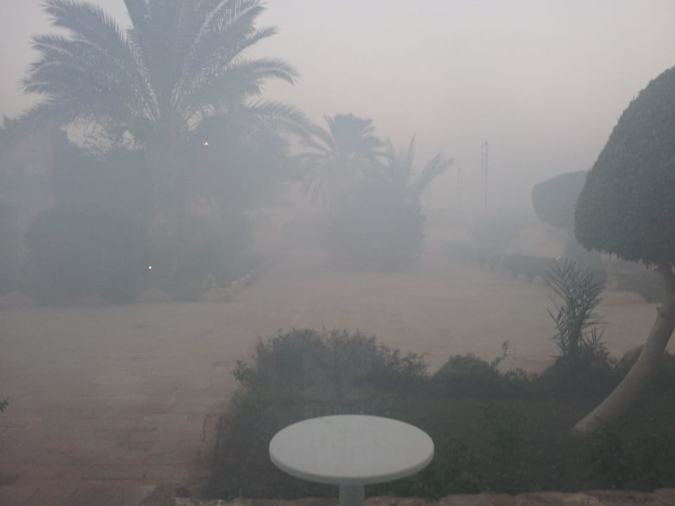 Gift,Mücken oder beides Utopia Beach Club