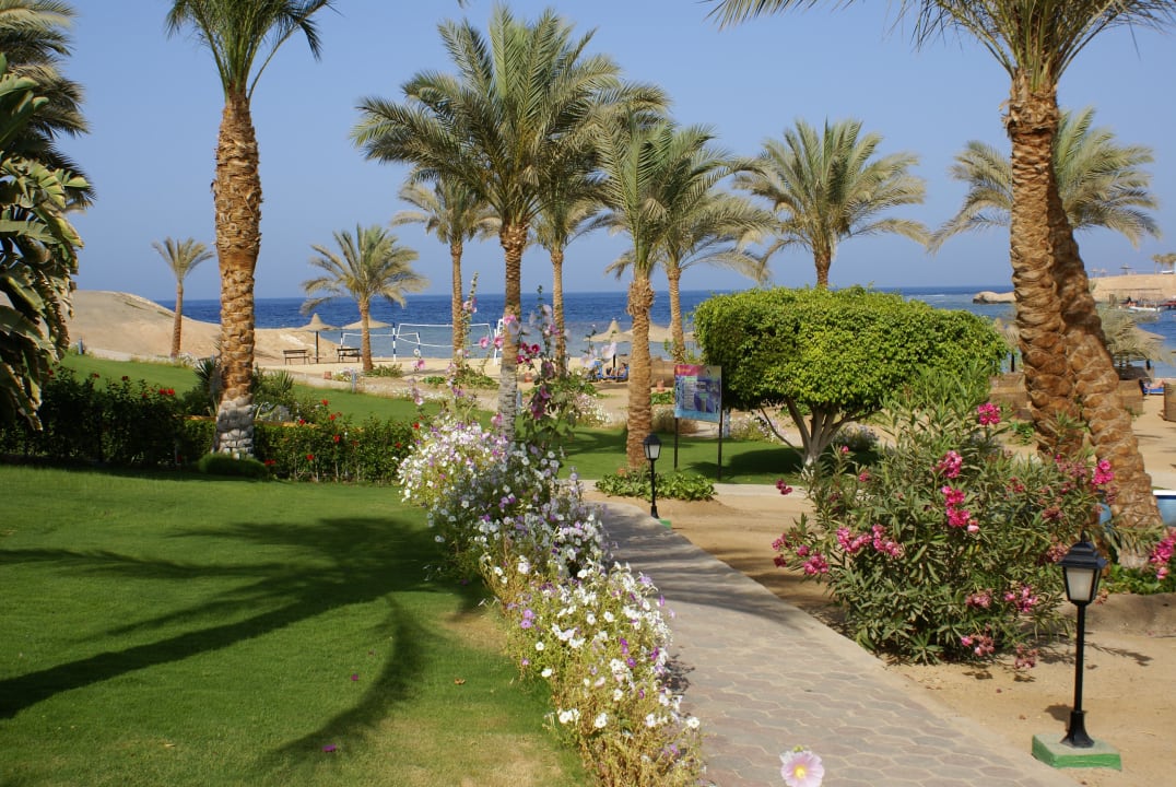 Strandbereich Steigenberger Coraya Beach - Adults only