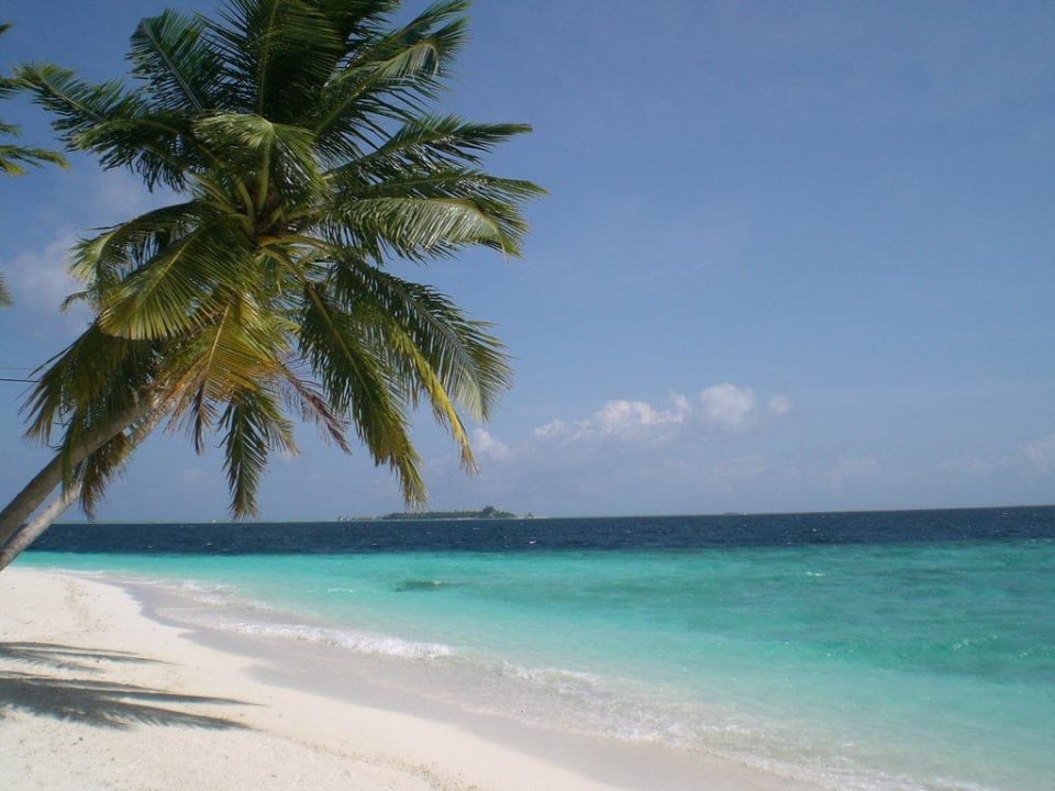 Nordstrand Fihalhohi Maldives