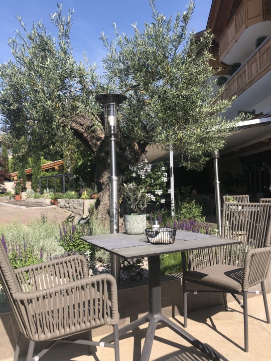 Gartenanlage Hotel Lisetta