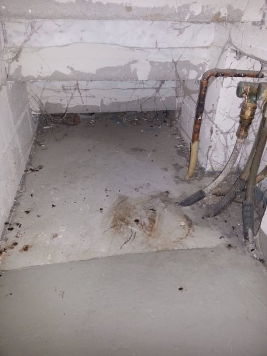 Kot im Comfort Ferienhaus Center Park Nordseeküste Center Parcs Park Nordseeküste