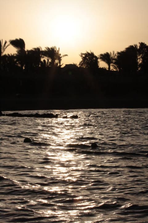 Strand Jaz Makadi Oasis Resort