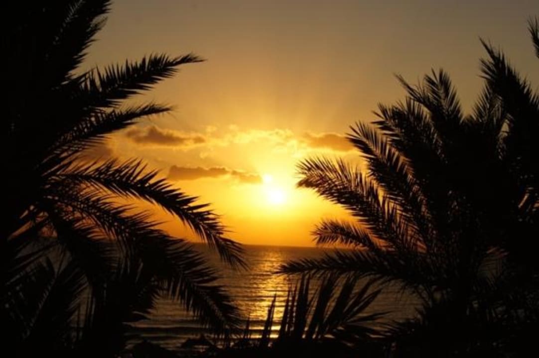 Wschód słońca Riadh Palms Resort & Spa