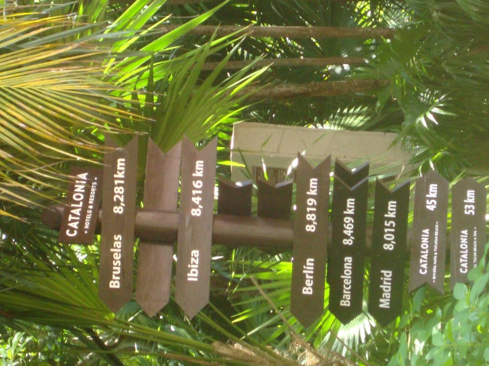 Hotel Catalonia Playa Maroma Catalonia Playa Maroma