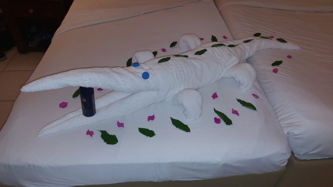 Zimmer Regency Plaza Aqua Park & Spa