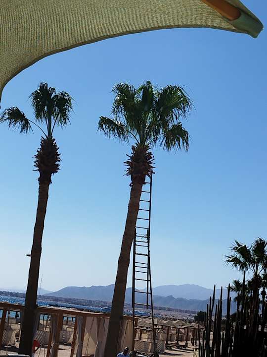 Gartenanlage Shams Prestige Abu Soma-Adults Only