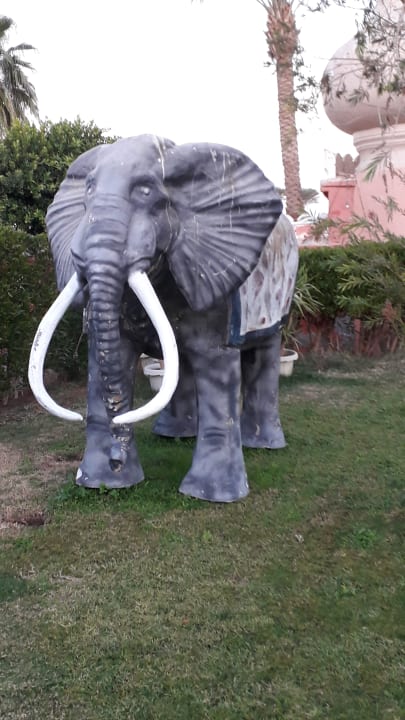 Gartenanlage Pickalbatros Alf Leila Wa Leila Resort - Neverland Hurghada