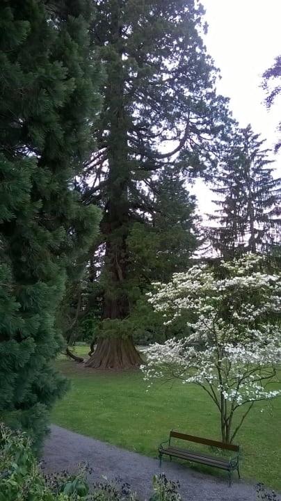 Park Das Hotel im Kurhaus Bad Gleichenberg