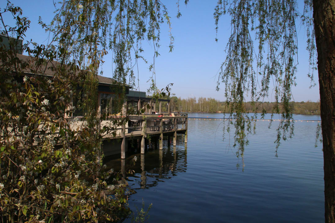Gartenanlage Center Parcs De Kempervennen