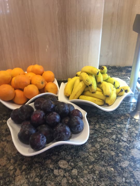 Gastro Relaxia Olivina