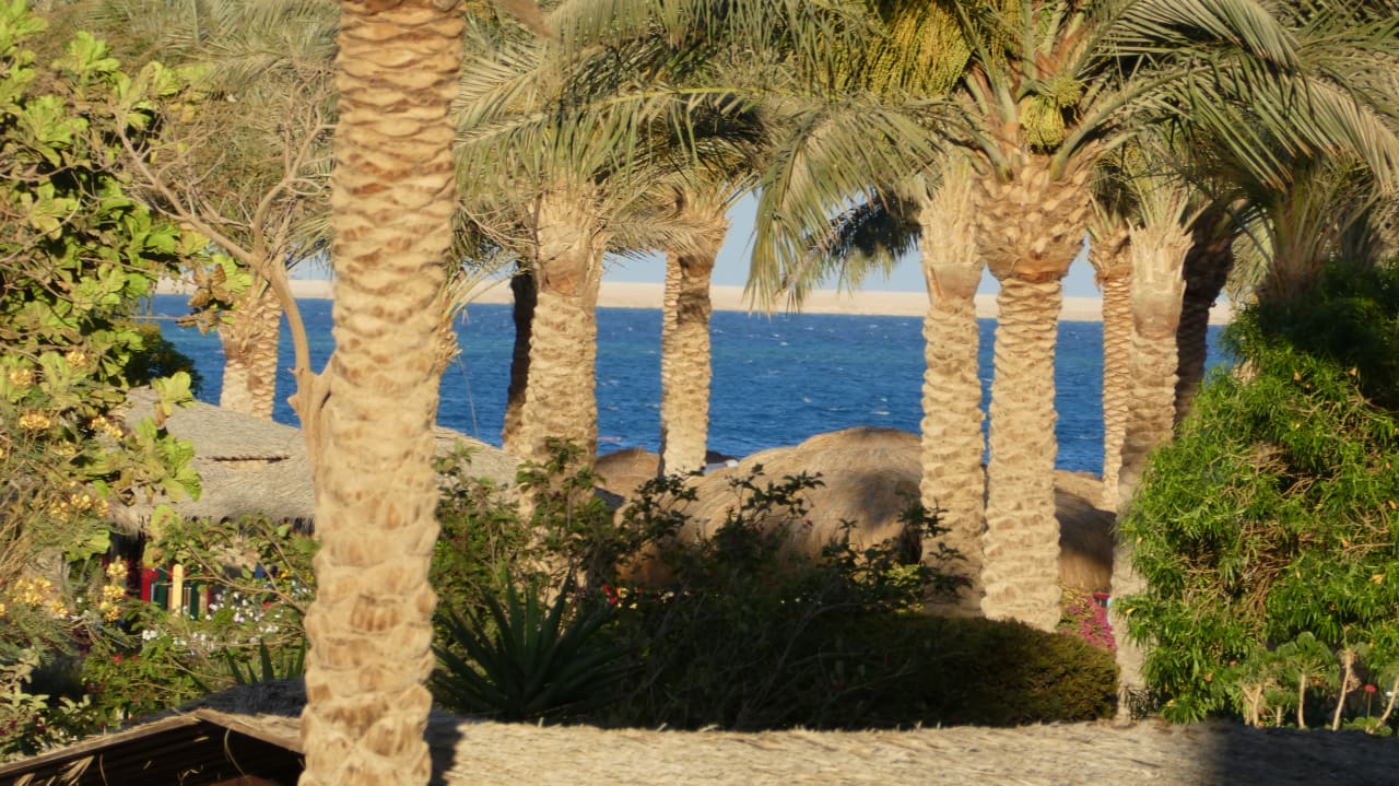 Ausblick Sentido Caribbean World Soma Bay