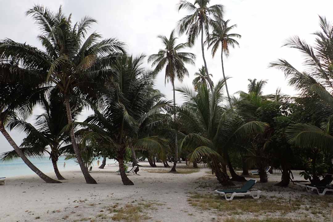 Strandspaziergang Meeru Maldives Resort Island