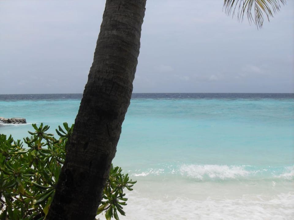 Blick aus dem Bungalow Eri Maldives