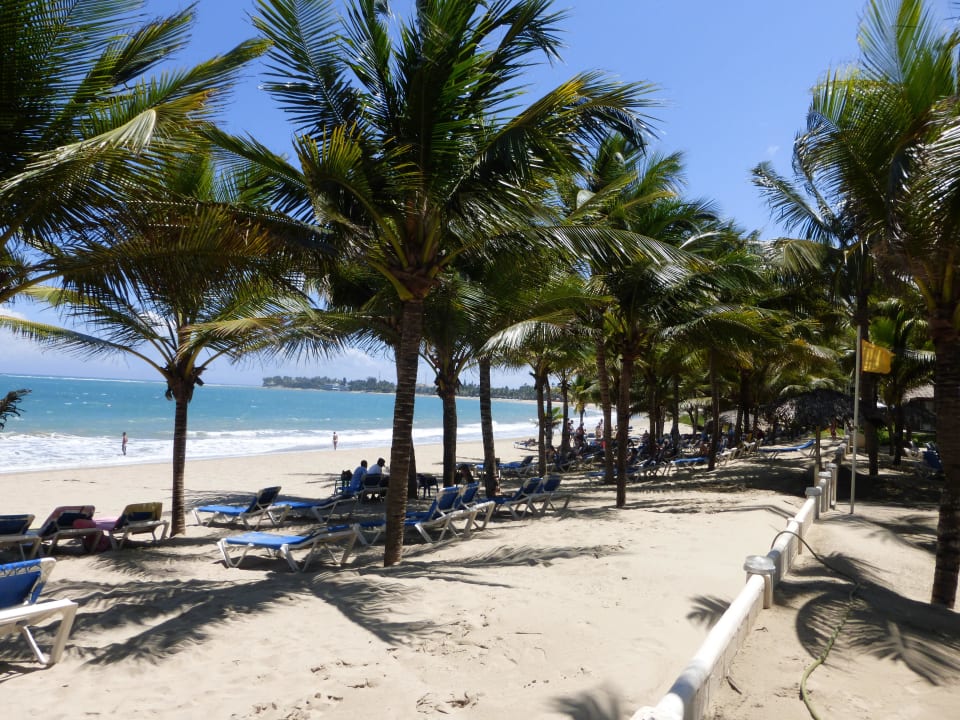 Blick zum Strand Viva Tangerine by Wyndham - All Inclusive Resort
