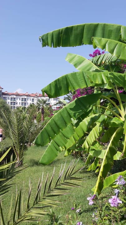 Wunderschöne Anlage Bella Resort & Spa