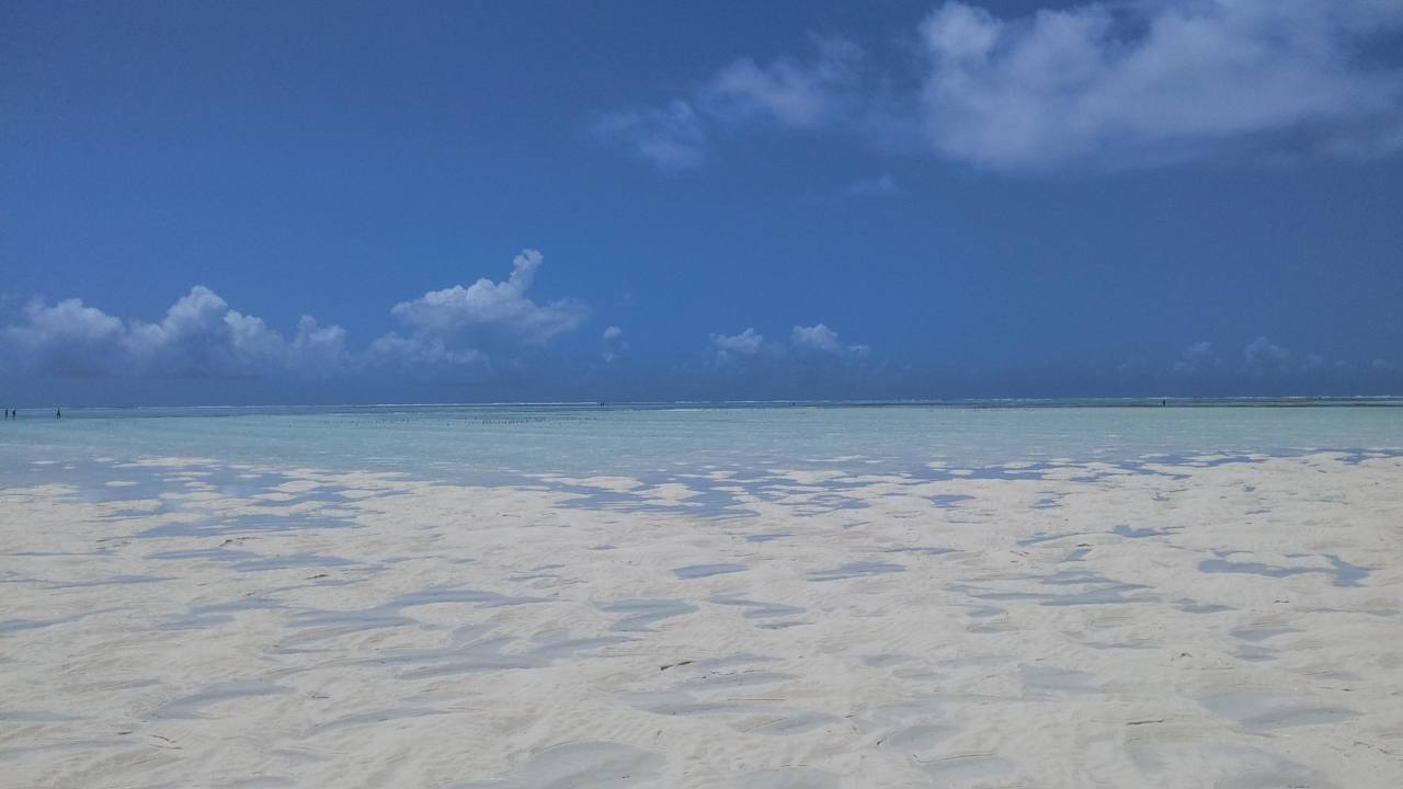 Strand bei Ebbe Neptune Pwani Beach Resort & Spa