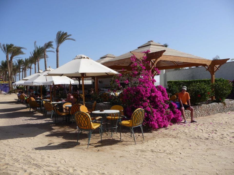 Beach Bar Pickalbatros Alf Leila Wa Leila Resort - Neverland Hurghada