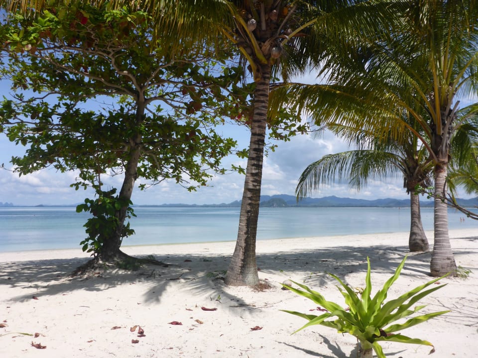 Ausblick von unserem Bungalow Koh Mook Sivalai Beach Resort