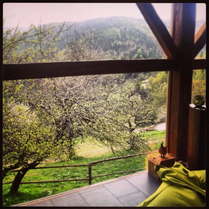 Blick aus dem Panoramafenster auf die Anlage/Teich LUXGUT - OLIVIA