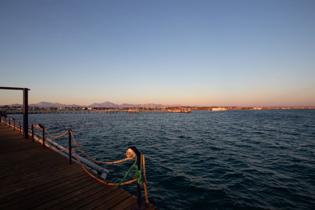 Ausblick Desert Rose
