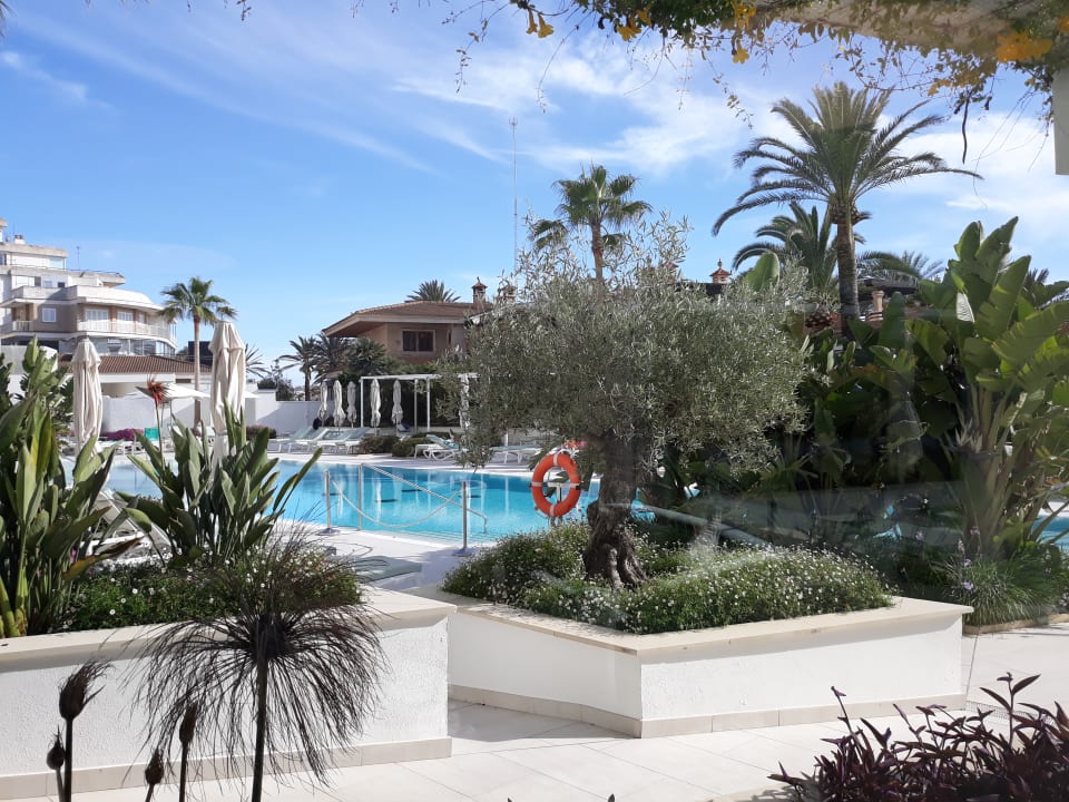 Pool Iberostar Selection Playa de Palma