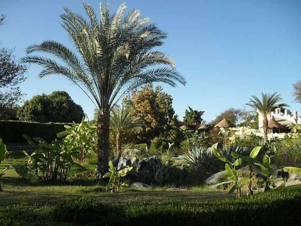 Teil der Parkanlage Pyramisa Island Hotel Aswan