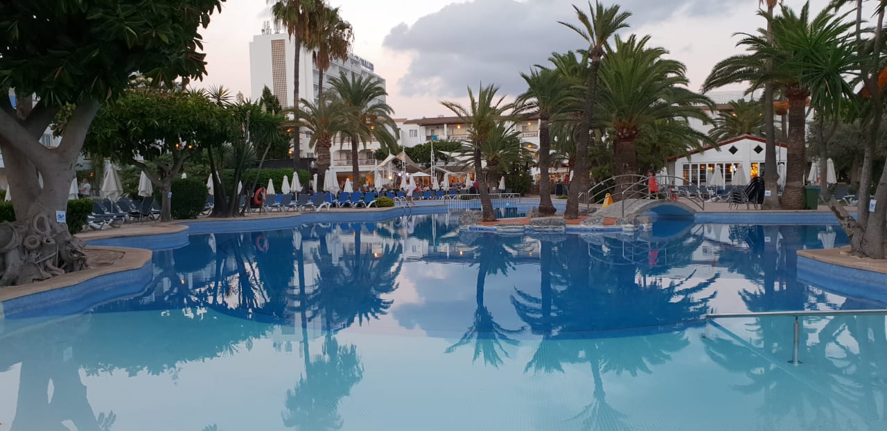 Pool Alcudia Garden Aparthotel