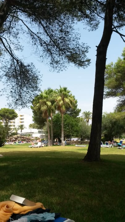 Gartenanlage Hotel Exagon Park