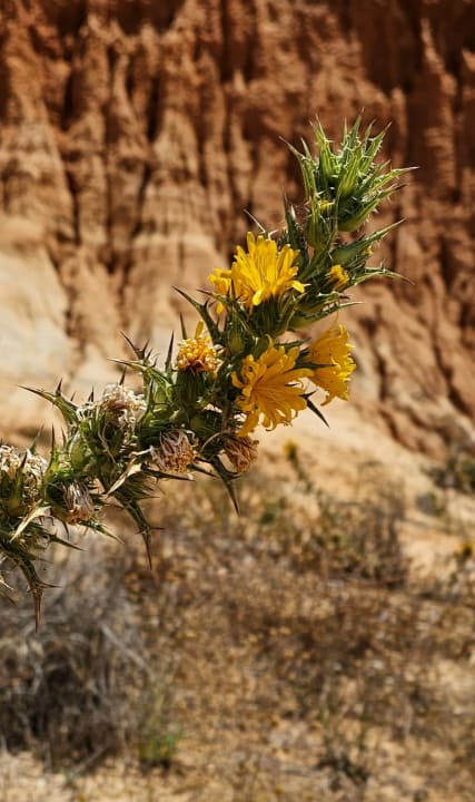 Strand AP Adriana Beach Resort