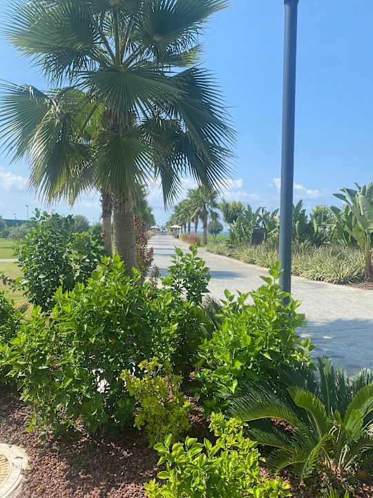 Gartenanlage Jacaranda Luxury Resort