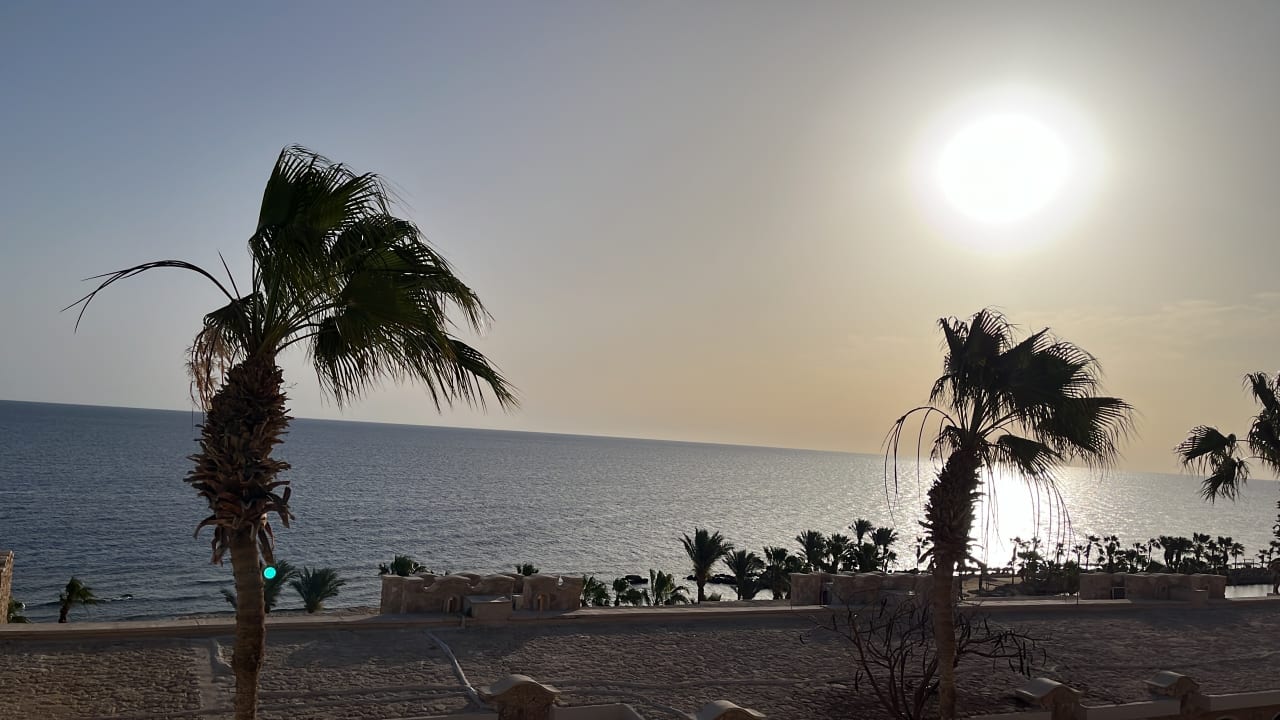 Zimmer Pickalbatros Citadel Resort