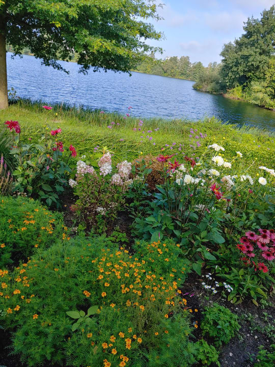 Gartenanlage See Park Janssen